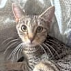 Thumbnail photo of Blossom #2