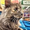 Thumbnail photo of Melodie #2