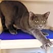Thumbnail photo of Walter #1