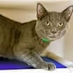 Thumbnail photo of Walter #3