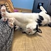 Thumbnail photo of Cooper #4