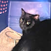 Thumbnail photo of Jane #3