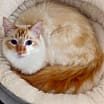 Thumbnail photo of Little Egg #1
