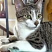 Thumbnail photo of Jayde #3