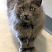 Thumbnail photo of Sadie #1