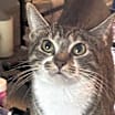 Thumbnail photo of Stella #2