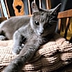 Thumbnail photo of Sky #3