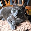 Thumbnail photo of Sky #1