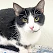 Thumbnail photo of Mazel #1