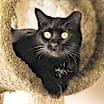 Thumbnail photo of Belle #1