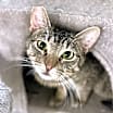 Thumbnail photo of Cayo #1