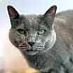 Thumbnail photo of Abbie #1