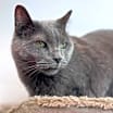Thumbnail photo of Abbie #2