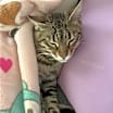 Thumbnail photo of Kate #2