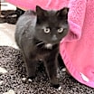 Thumbnail photo of Wynona #2