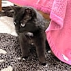 Thumbnail photo of Wynona #3