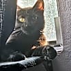 Thumbnail photo of Luna #1