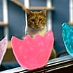 Thumbnail photo of Harry #3