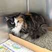 Thumbnail photo of Rita #1