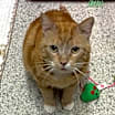 Thumbnail photo of Michael #1