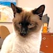 Thumbnail photo of McCoy #1