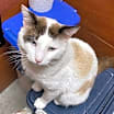 Thumbnail photo of Theodore #1