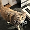 Thumbnail photo of Tara #1