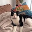 Thumbnail photo of Bo #4
