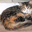 Thumbnail photo of Flora 2 #1
