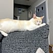Thumbnail photo of Miller #3