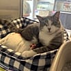 Thumbnail photo of Spoinky #3