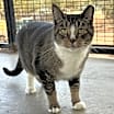 Thumbnail photo of Palmer #2