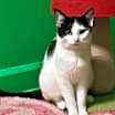 Thumbnail photo of S'more #1