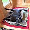 Thumbnail photo of Gina #4