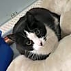 Thumbnail photo of Whiskerbell #3