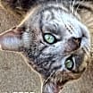 Thumbnail photo of Swirly #3
