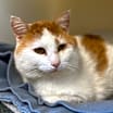Thumbnail photo of Owen #1