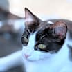 Thumbnail photo of Lovie #3