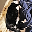 Thumbnail photo of FIONA #2