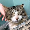 Thumbnail photo of Luca #1