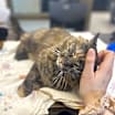 Thumbnail photo of Sunshine #2