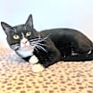 Thumbnail photo of Yinnie #1