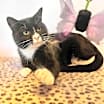 Thumbnail photo of Yinnie #2