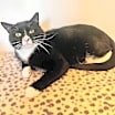 Thumbnail photo of Yinnie #4
