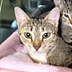 Thumbnail photo of Momma Cleo #3