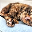 Thumbnail photo of Wednesday #2