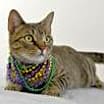 Thumbnail photo of Marble #2