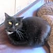Thumbnail photo of Porch Baby #1