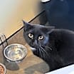 Thumbnail photo of Porch Baby #2