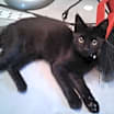 Thumbnail photo of Everett #4